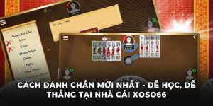 Cách đánh chắn