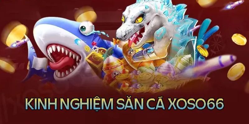 Một số kinh nghiệm hay trong săn cá giúp tăng kỹ năng