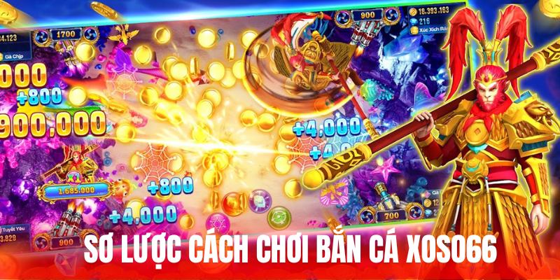 Giới thiệu sơ lược trước khi học cách chơi Bắn cá Xoso66