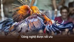 Khuyến Mãi 23WIN – Cơ Hội Nhận Nhiều Ưu Đãi Khi Tham Gia Hệ Thống