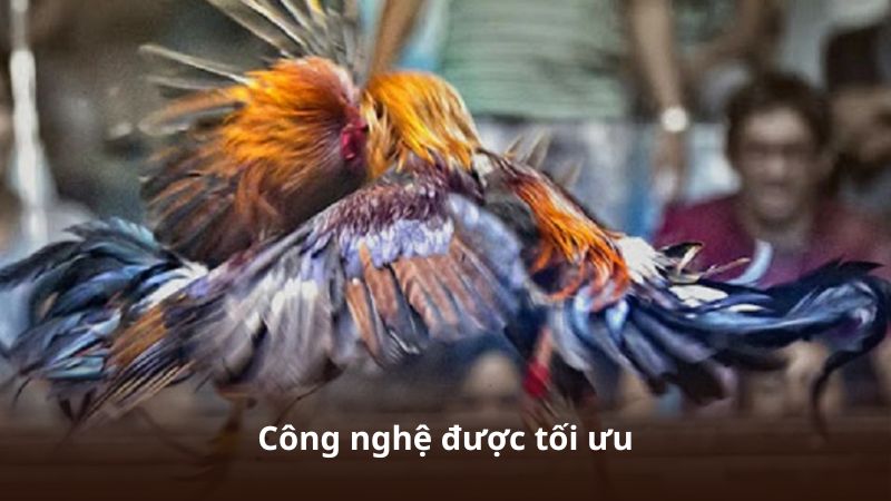 Khuyến Mãi 23WIN – Cơ Hội Nhận Nhiều Ưu Đãi Khi Tham Gia Hệ Thống